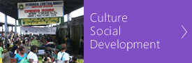 Culture Social Development