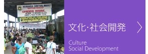 文化・社会開発